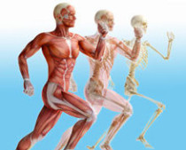 Sportmedizin, Höhenmedizin, Gesundenuntersuchung
