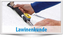 Lawinenkunde, Lawinenkurse, Ausbildung LVS